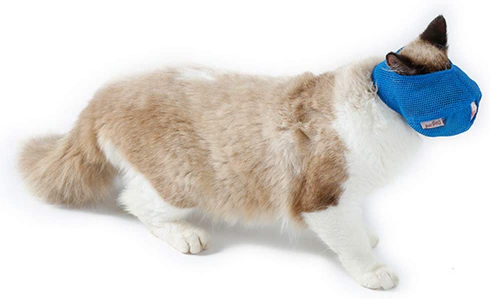  Hemore - Bozal Multifuncional para Gato antibita, Transpirable, para Mascotas, para Evitar Que los Gatos se muevan y masticen, tamaño L, Color Azul 