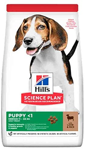  Hills Science Plan Canine Puppy Medium Cordero & Arroz 14Kg 14000 g 