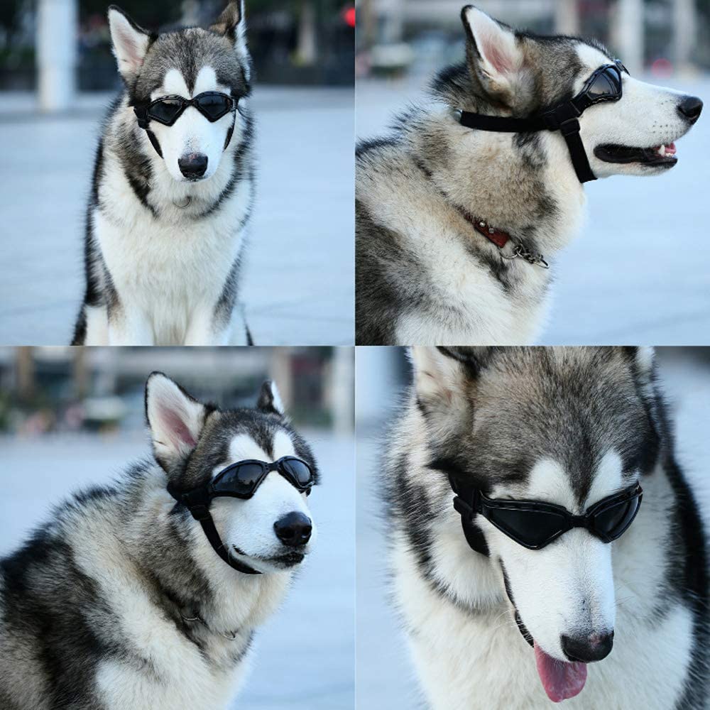  HXHH Pet Accessories Gafas De Sol Gafas De Natación, Plegable A Prueba De Viento, Resistente Al Desgaste Ya Los Golpes Gafas, Adecuados para Golden Retriever Perros del Samoyedo,Negro 