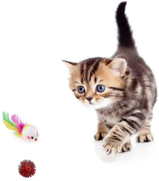  IvyLife Juguetes para Gatos Juguete Interactivo con Plumas para Gatos, Juguete Conjunto para Gatitos Cat Kitty, Herramientas de Entrenamiento de Gatos - 16 Piezas 