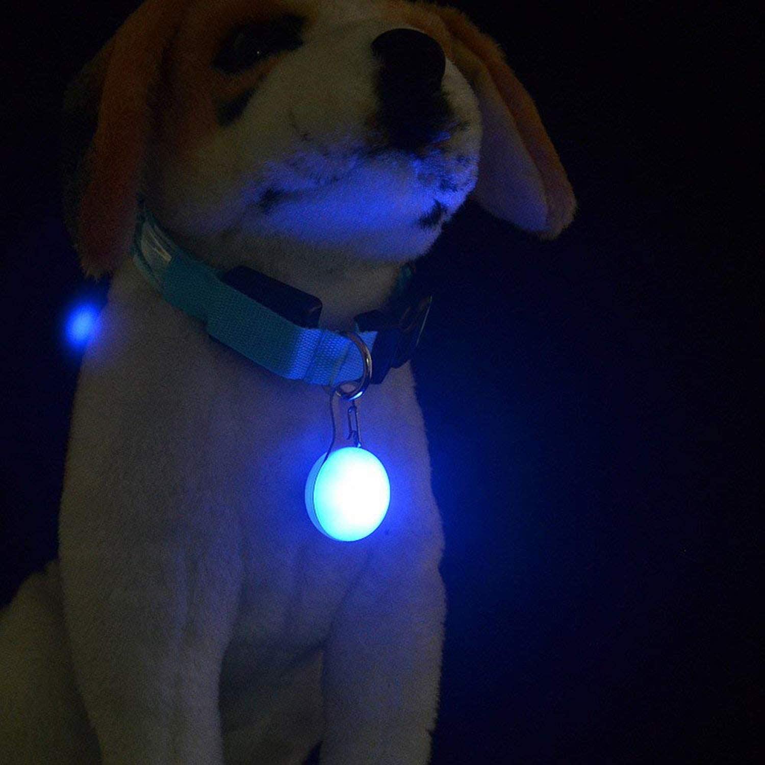  JJOBS luz led para collar de perro pack de 2 