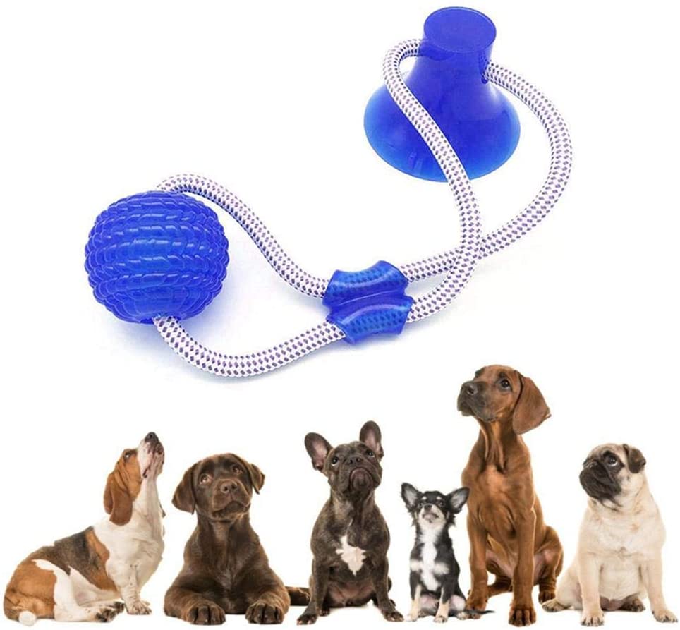  Juguete de mordida para Mascotas multifunción, Juguete de Cuerda para Tirar, Resistente, Juguete con Ventosa, Tugging, Tirar, Masticar, Jugar para Perros 