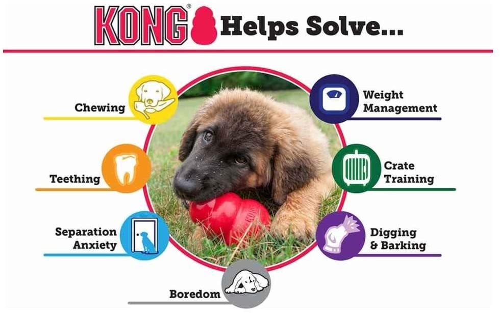  KONG - Puppy - Juguete de caucho natural para dentición - Cachorro L (colores pueden variar) 