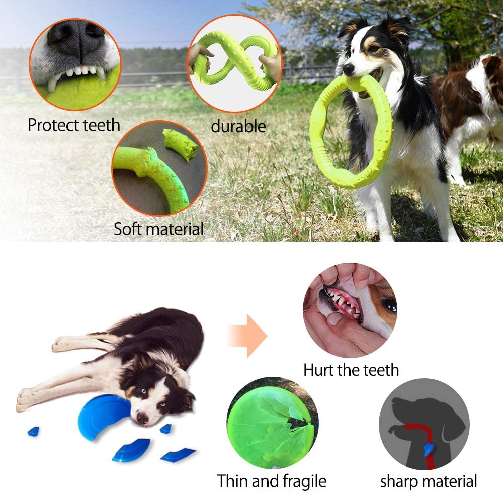  LaRoo Dog Frisbee Dog Disc Toy, Disco de Lanzamiento Duradero para Perros Fuertes para Perros pequeños, medianos y Grandes, Deporte, Ejercicio, Actividad y Juegos al Aire Libre (30 cm Verde) 