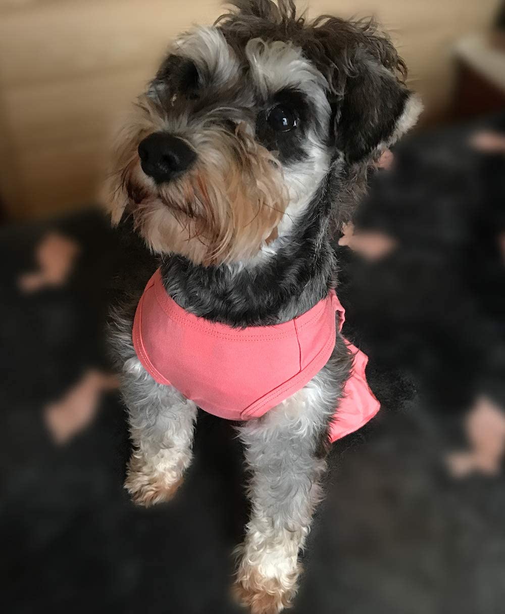  Longlongpet 2019 - Vestido de perro deportivo para perros en miniatura, tamaño pequeño, 100% algodón, 18 colores 