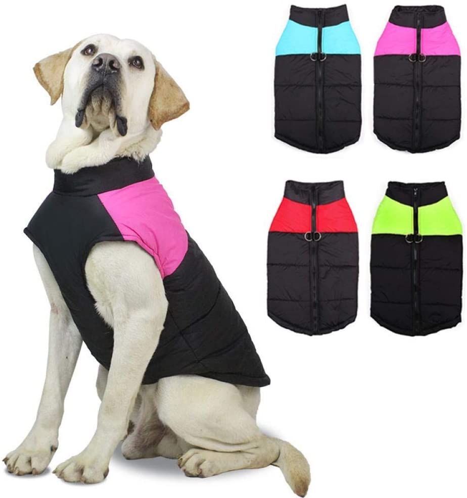  LVWENJUN A prueba de agua for mascotas Perro de perrito de la chaqueta del chaleco ropa de invierno ropa for perros de la capa for Pequeñas Grandes perros Golden Retriever ( Color : Green , Size : M ) 