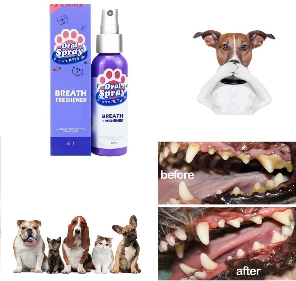  LZEN ambientador de Aliento para Mascotas, Olor a Spray Dental para Mascotas Elimina el Olor Previene Placa Calculus Limpieza de Dientes Niebla para Perro Gato 