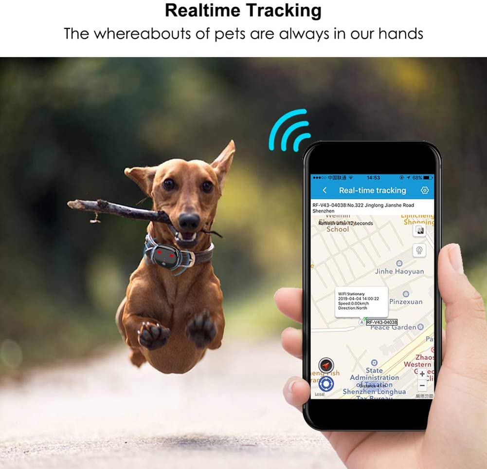  MaiTian 4g Perro GPS rastreador de Mascotas, Monitor de Voz Impermeable Rastreador Deportivo Paso en Tiempo Real WiFi Seguimiento GPS para Gato Perro 