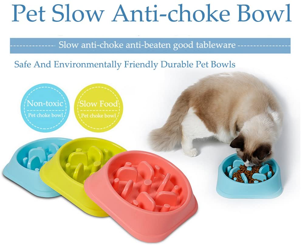  Meiwash Perro de Mascota Slow Food Bowl 