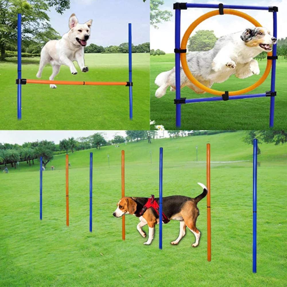  MelkTemn Set de Entrenamiento de Agilidad de Perros, Jump Hoop Dog Agility Starter Equipment, Obstáculos para el Entrenamiento de la coordinación para Perros al Aire Libre 