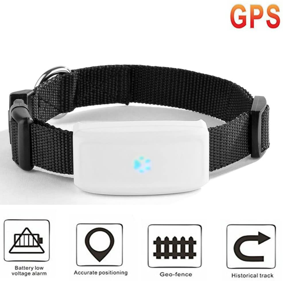  Mini GPS Localizador de Collar para Mascotas, impermeable Rastreador collar para perros y gatos Aplicación para smartphone PC Tablet 