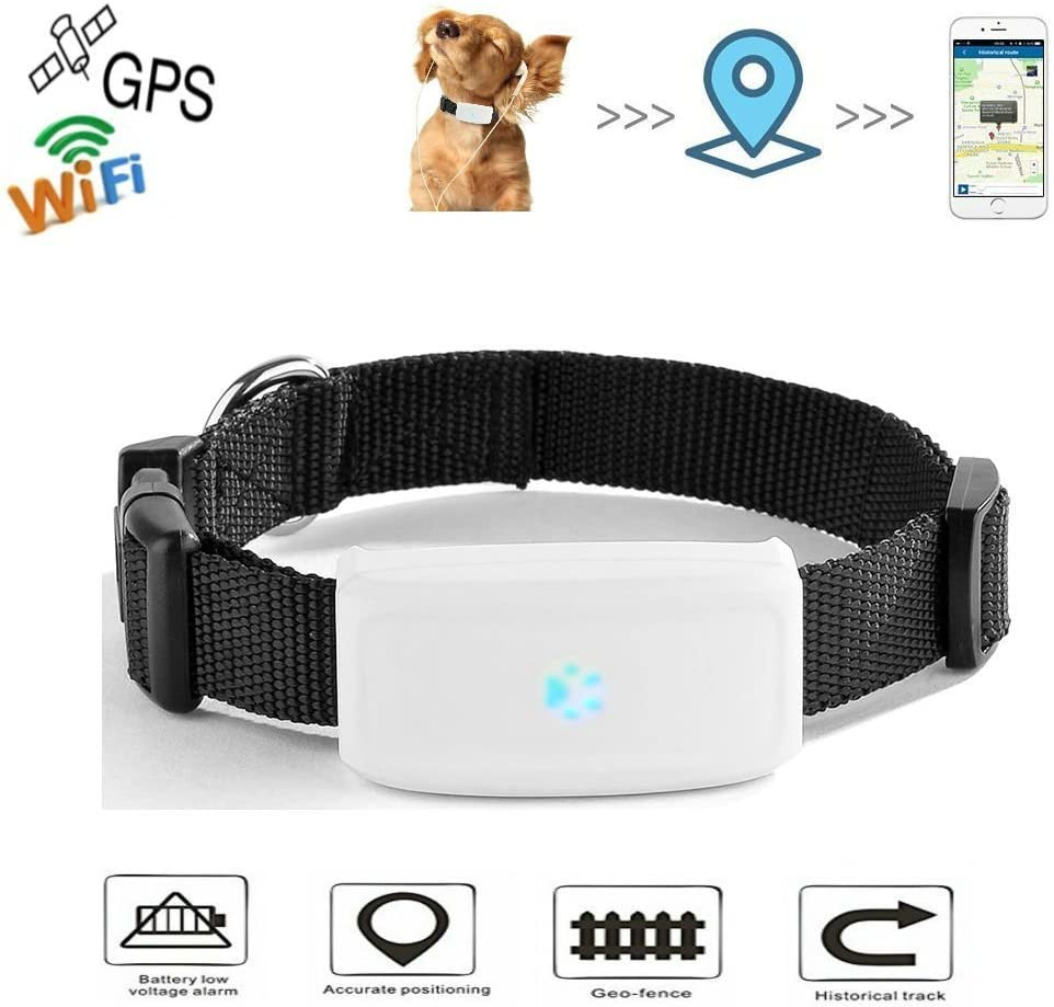  Mini GPS Localizador de Collar para Mascotas, impermeable Rastreador collar para perros y gatos Aplicación para smartphone PC Tablet 