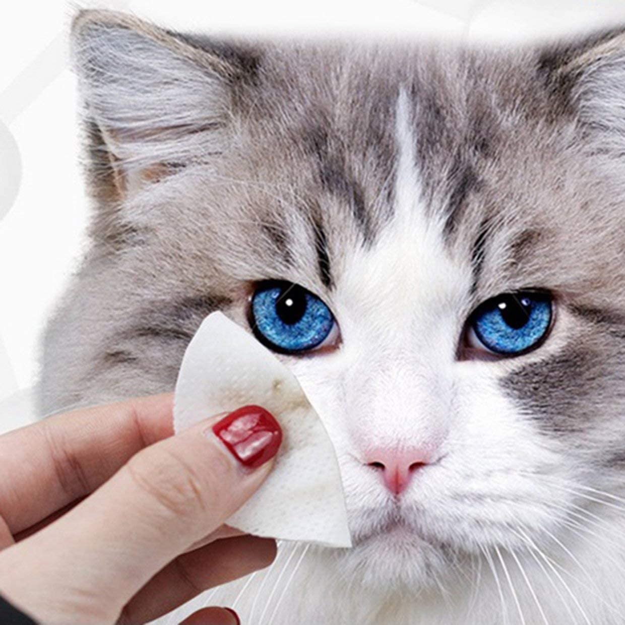  MXECO Toallitas para ojos para mascotas Perros y gatos Elimina de forma natural la suciedad Evita las lágrimas Irritaciones por manchas Infecciones Ingredientes Aloe Vera 100 Count 