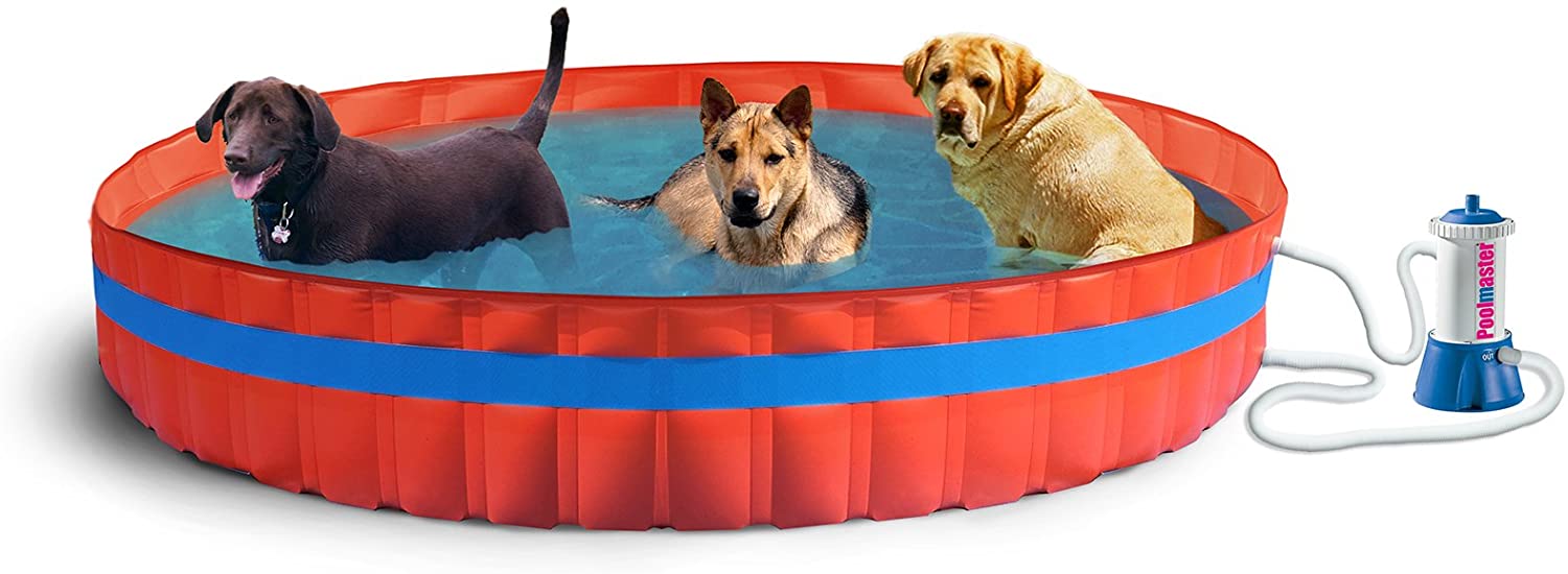  New Plast 3100 K – My Dog Pool Piscina para Perros con Filtro, 305 x 46 cm (diámetro x Altura) 