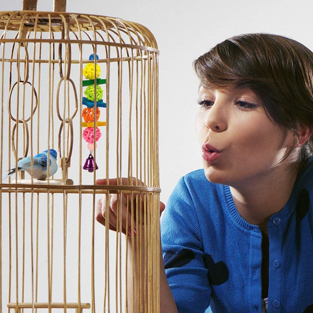  onebarleycorn – Juguete para Masticar pájaros, Campana Colgante para pájaros de Juguete para Mascota, Hamaca para pájaros pequeños y medianos (6 Unidades) 