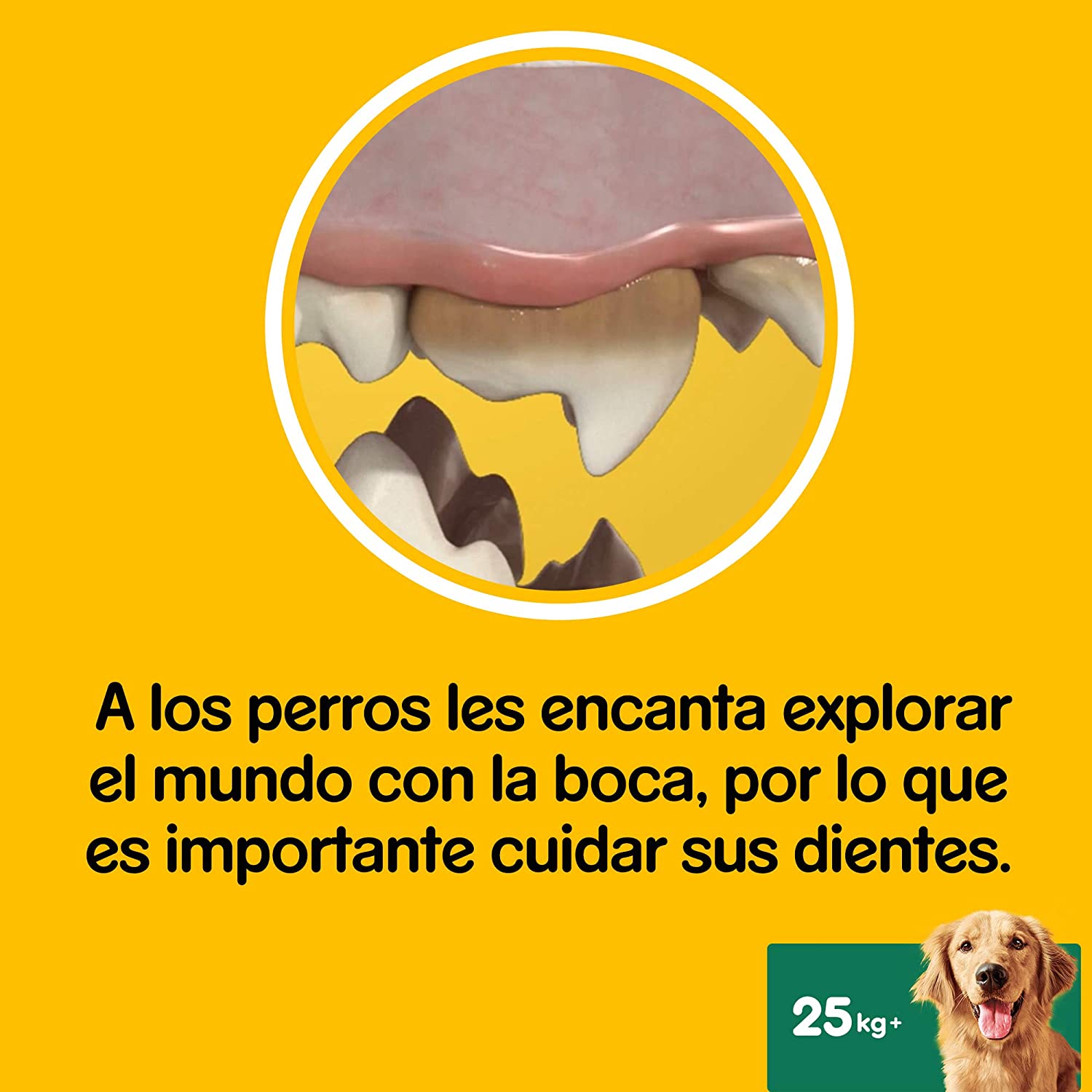  Pack de 7 Dentastix de uso diario para higiene oral para perros grandes | [Pack de 10] 