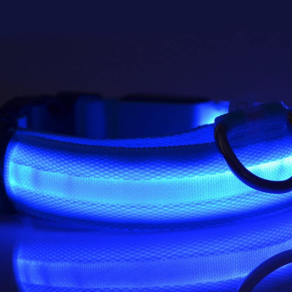  Perro de nylon azul LED nocturna de seguridad Collar intermitente correa del Light-up (Blue) 