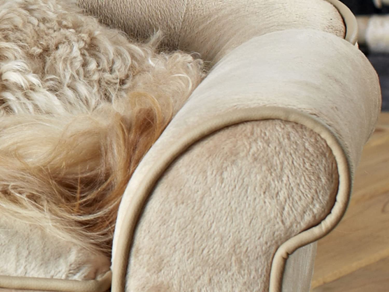  Perro sofá Cama para Perros Perro Longue Espacio Perros Cesta Cojín Dream Catcher I 74 x 42 x 28 cm. asiento: 48 x 28 x 8 cm. cojin: 30 x 10 cm 