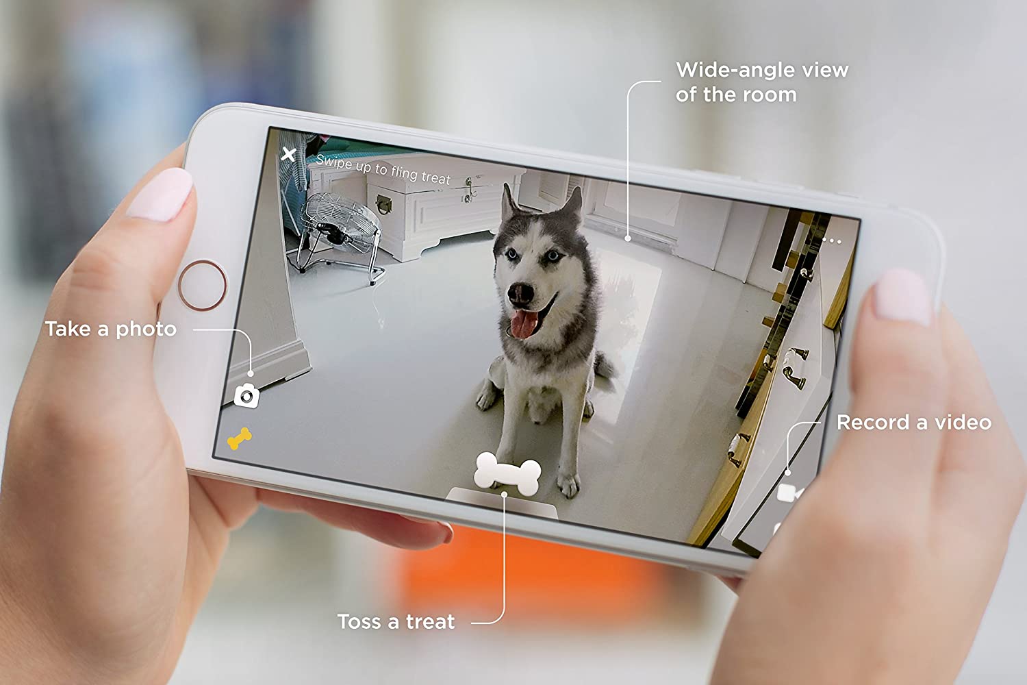  Petcube Bites Cámara Wi-Fi para Mascotas con dispensador de Galletas. Cámara de Video HD 1080p para monitoreo de Mascotas. Audio bidireccional, visión Nocturna y Zoom 3X. para Perros y Gatos. 