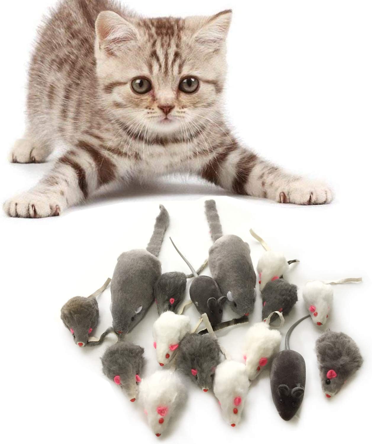  PietyPet Juguetes para Gatos, 16 Piezas Peludo Ratones sonajero pequeño Ratón Gato Gatito Interactivo, Colores Variados 
