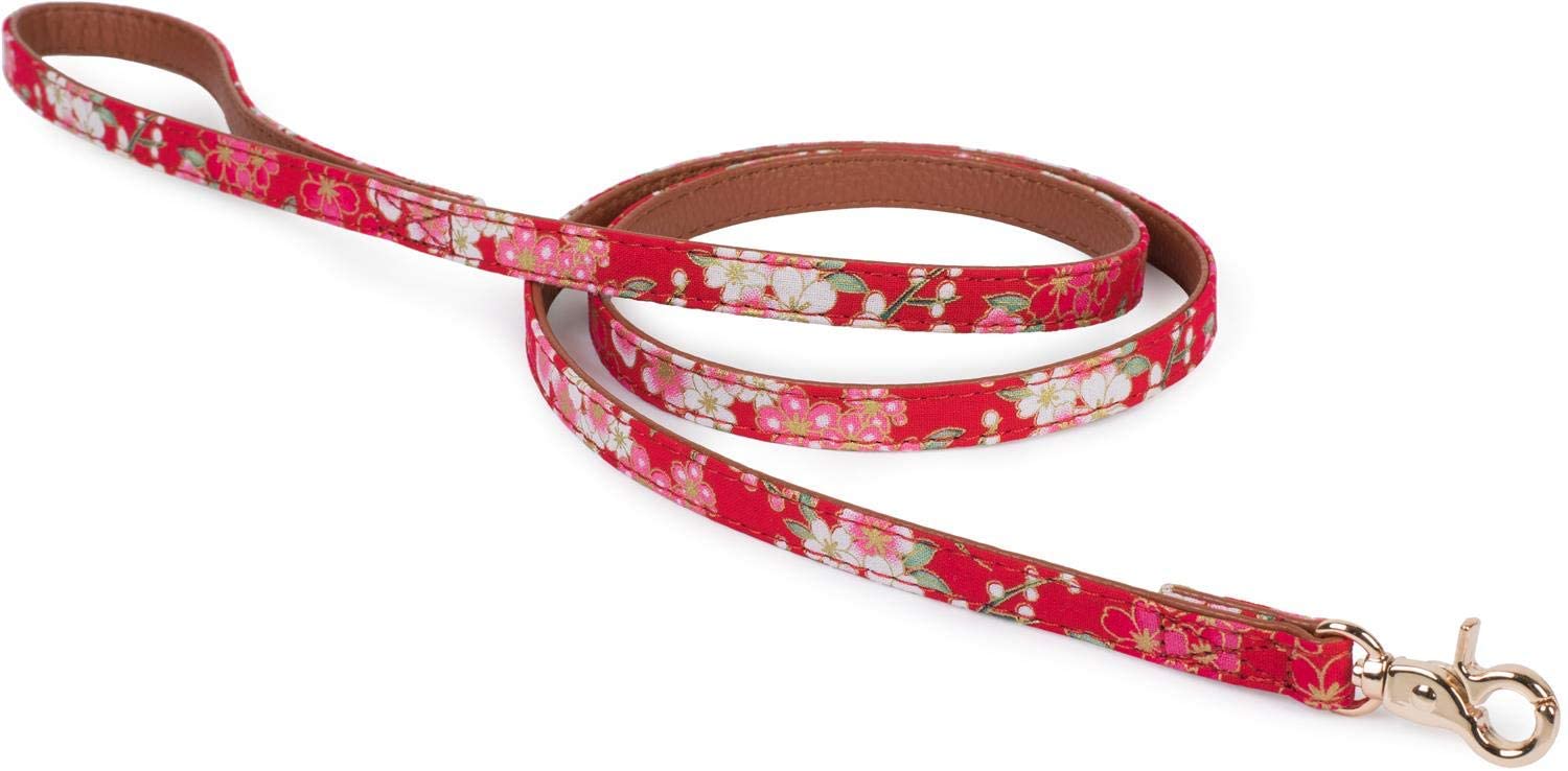  Puccybell Collar de Flores con Lazo y Correa de Perro (1,2 m) en Conjunto, Collar con Corbata de Lazo y Correa para Perros pequeños y medianos HLS005 (M, Rojo) 
