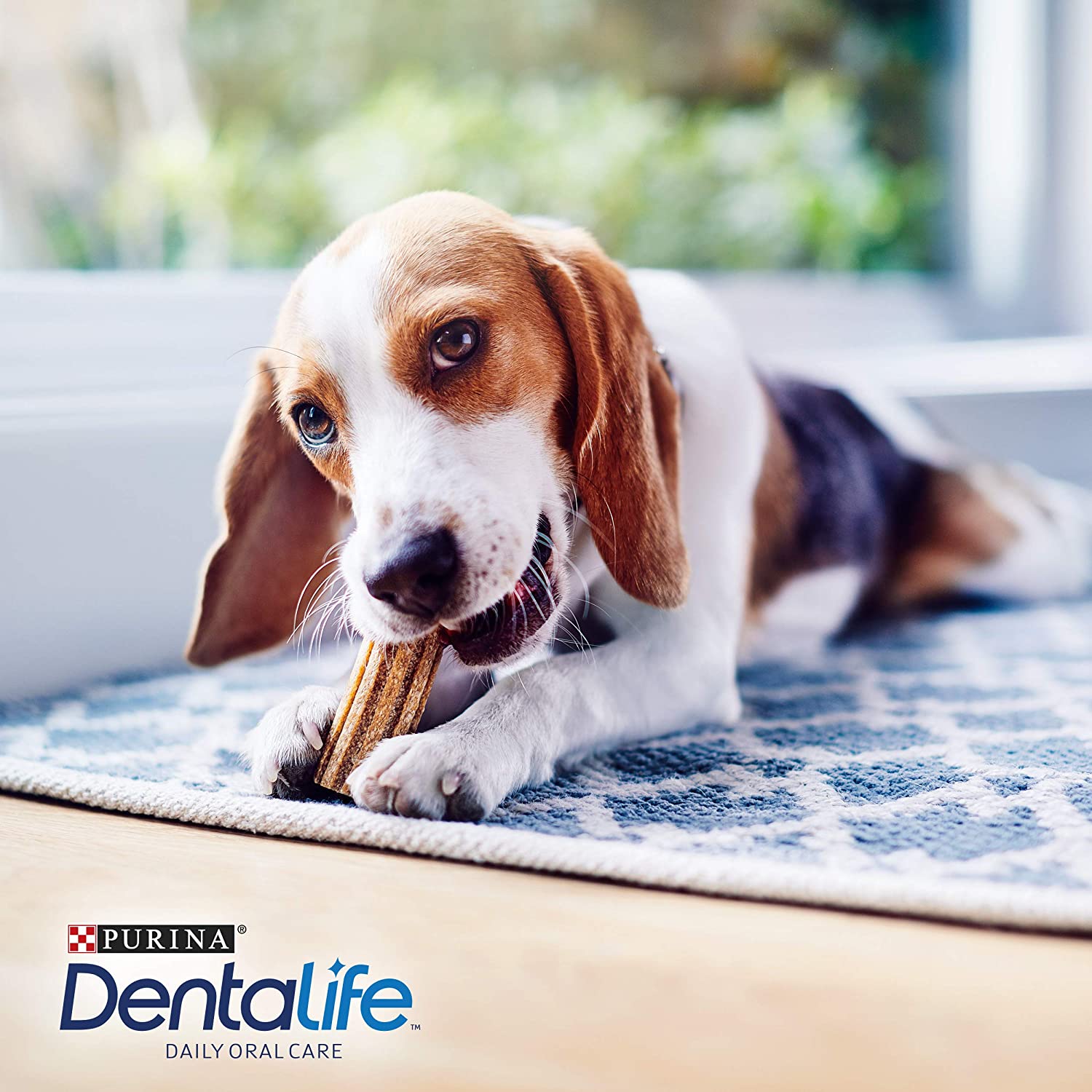  Purina DentaLife - Aperitivos de cuidado dental diario para perros, Pack of 4 x 350gr 
