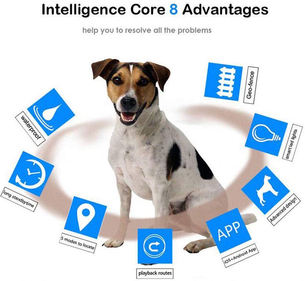 Qyoung Collar rastreador GPS Inteligente para Perro, Gato, Impermeable, localizador de Mascotas antipérdida, con luz LED Intermitente Inteligente y función de Alarma de Geo-Vale, sin cuotas mensuales 
