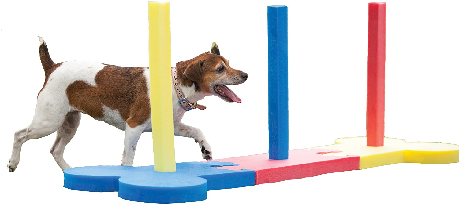  Rosewood - Obstáculos pequeños para perros 