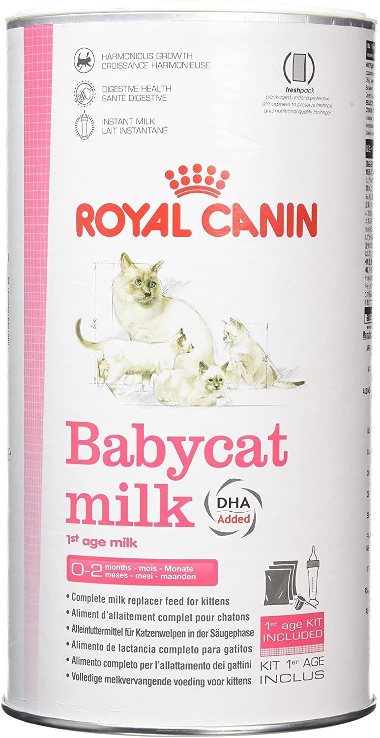  Royal Canin C-58410 Baby Leche Gato - 300 gr 
