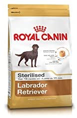  Royal Canin Labrador esterilizado 12 kg 