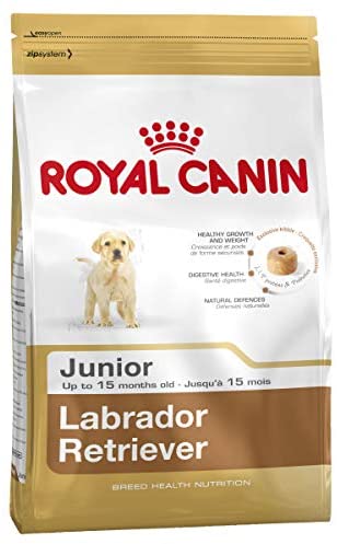  Royal canin Labrador junior pienso para Labrador joven 