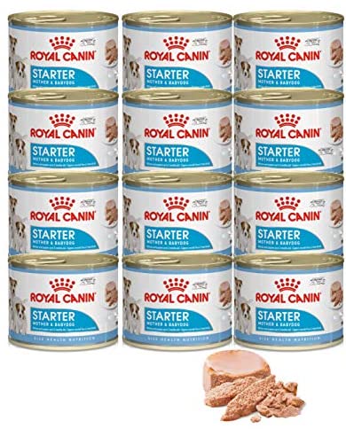  ROYAL CANIN - Mousse Mother & Baby 12 x 195 g 