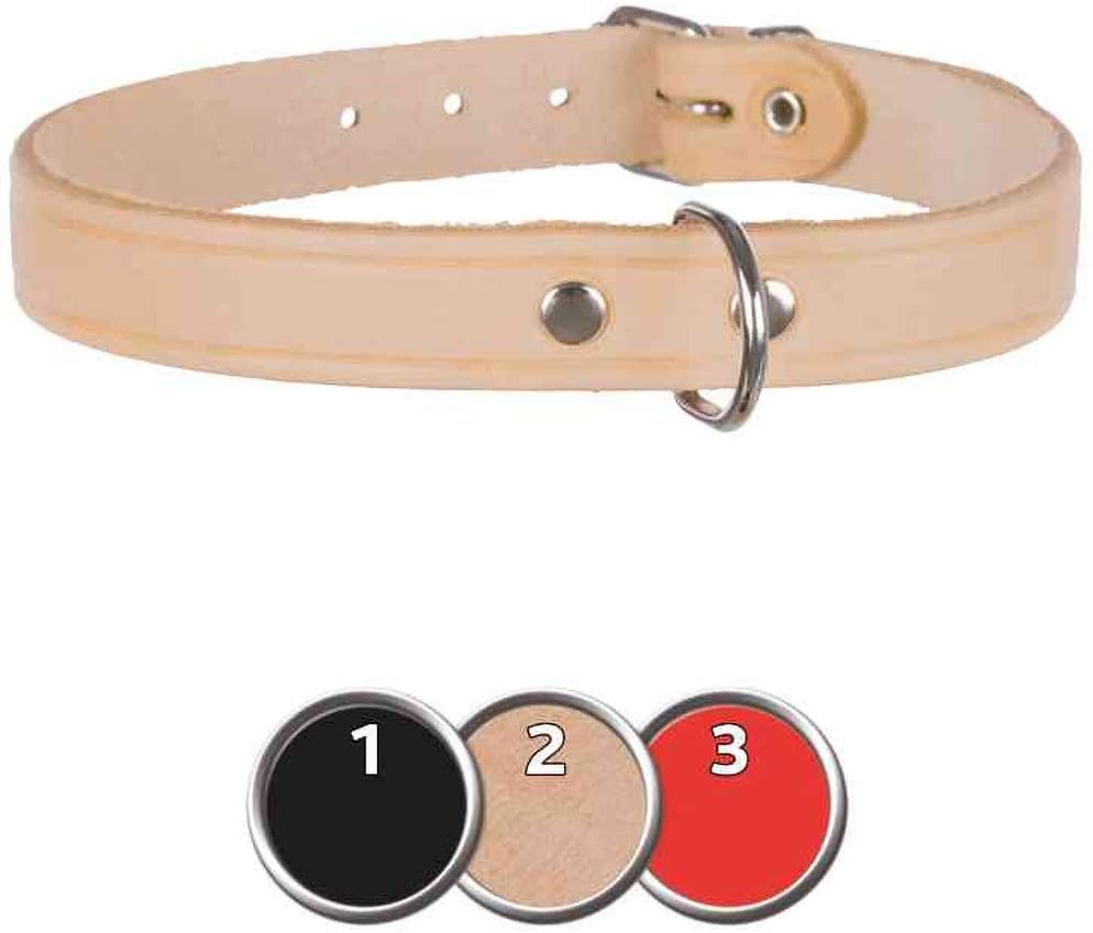  Serie TRIXIE Basic piel collar correa ramal y acoplador para perros [3 colores] 