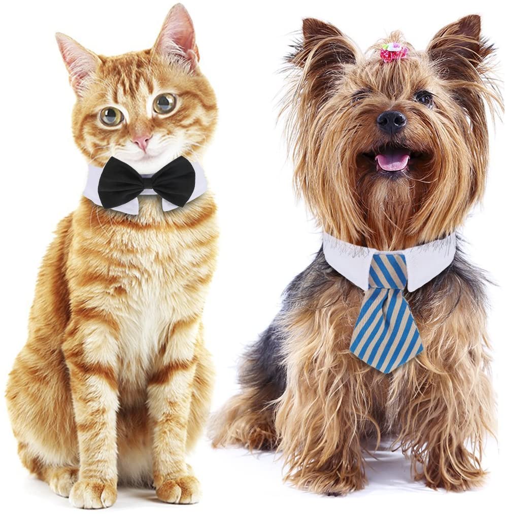 Shappy 3 Piezas Corbatas y Pajarita Ajustables de Mascotas Perros Gatos Collar de Disfraz de Mascota para Perros Pequeños Accesorios para Preparación de Cachorro (S) 