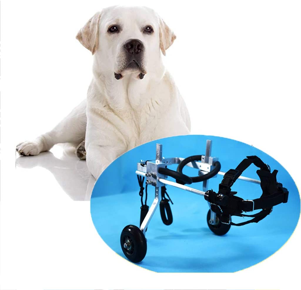  Silla de ruedas para mascotas, silla de ruedas para perros con patas traseras para perros con discapacidad, perros con discapacidad, rehabilitación de piernas traseras, peso 1-2 KG, aleación ligera de 