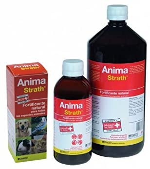  Stangest Anima Strath Complemento Nutricional - 100 ml 