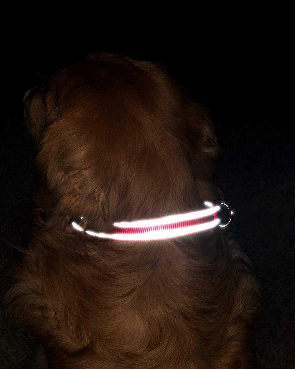  TagME Collar de Perro Reflectante Personalizado,Placa de Acero Inoxidable,Grabado con Nombre y Número de Teléfono,Deslizar en Las Etiquetas de Identificación del Perro,Rojo 