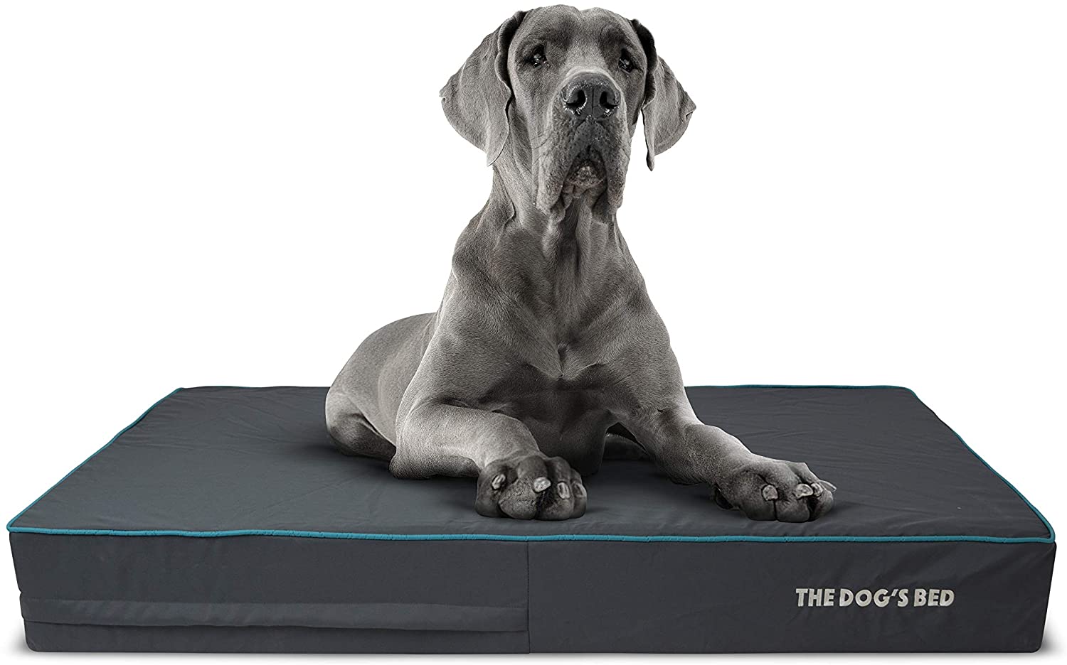  The Dog's Bed - Cama de perro ortopédica 