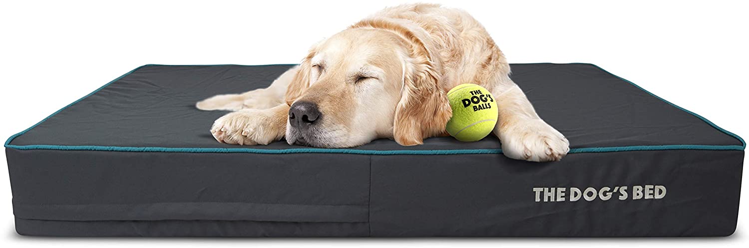  The Dog's Bed - Cama de perro ortopédica, impermeable, viscoelástica, 5 tamaños/7 colores 
