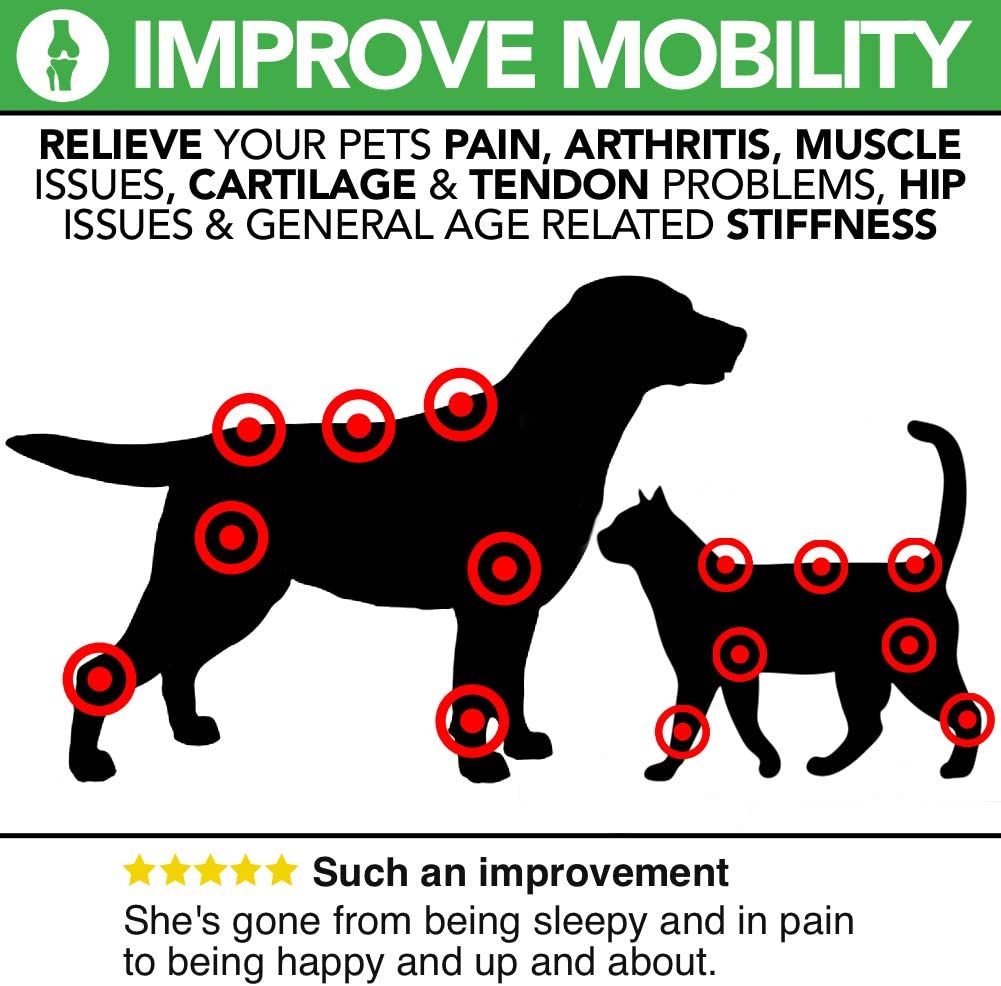  The Healthy Dog Co Joint Genie Completamente Natural | Suplementos para la Salud de Las Articulaciones y la Cadera de los Perros y Gatos | 100 dosis | Alivia el Dolor y la Rigidez para Perros Mayores 