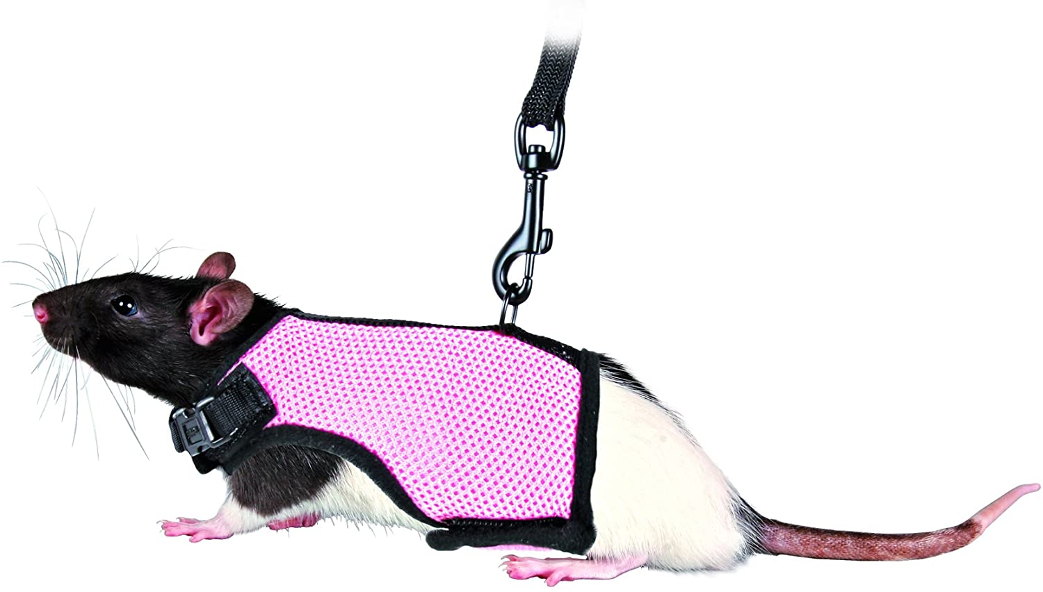  Trixie Arnés suave con correa para Ratas, 9-12 cm/12-18 cm,1.20m, colores surtidos 