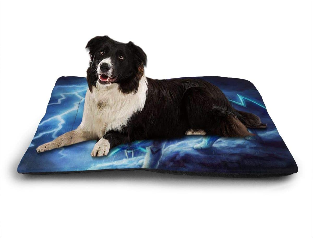  TYHG - Alfombrilla grande para mascotas con diseño de lobo de rayos y lluvia, antideslizante, cómodo cojín para perros y mascotas, para dormir y mantener el calor jugando, negro, 35"x23" 