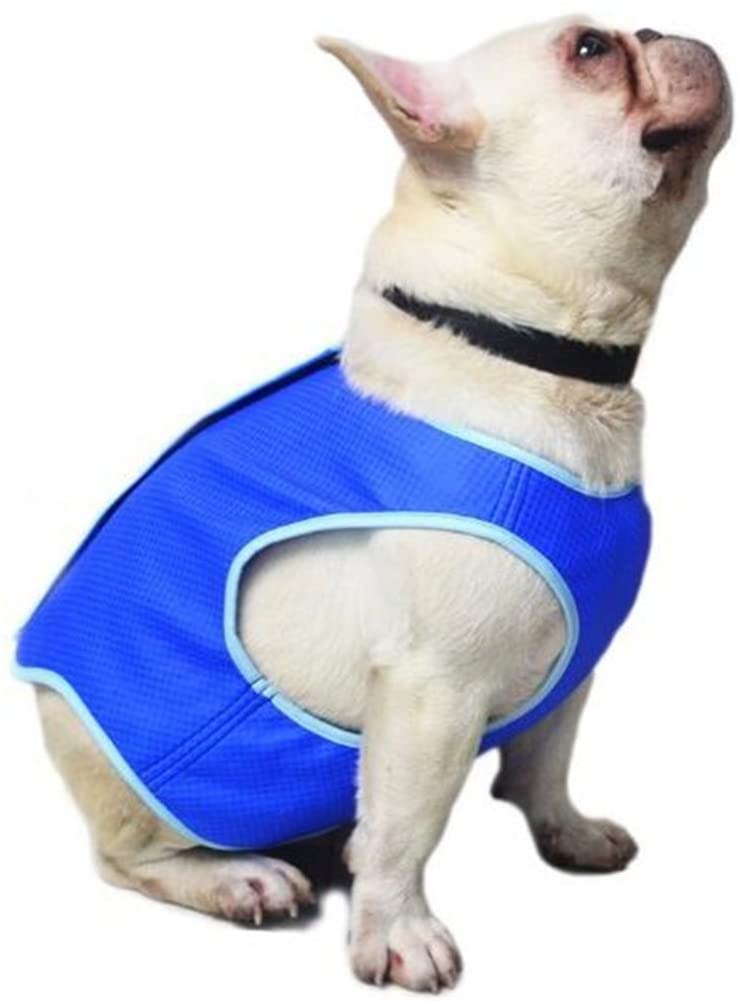  UKCOCO Chaqueta de Chaleco de Refrigeración para Mascotas, Arnés de Refrigeración, Chaleco de Refrigeración con Cinta Mágica para Perros de Cachorros - Talla M (Azul) 