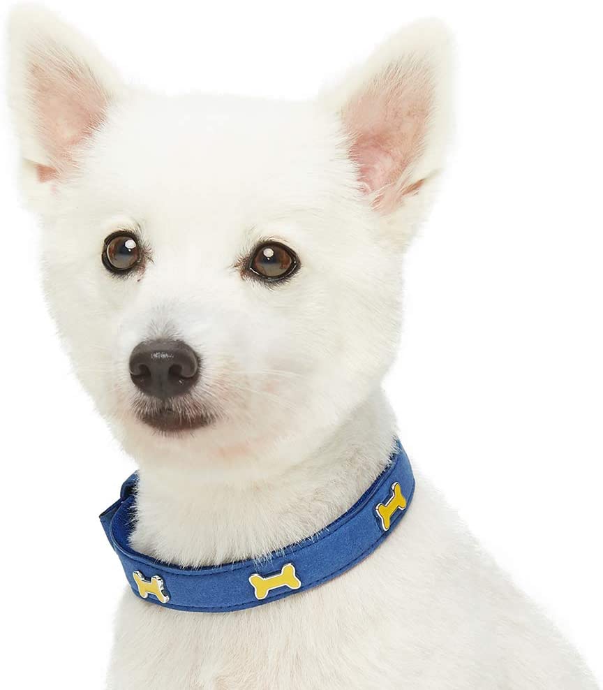  Umi. by Amazon - Designer - Collar para perros con adorable estampado de huesos y hebilla metálica S, cuello 23-32 cm (azul oscuro) 