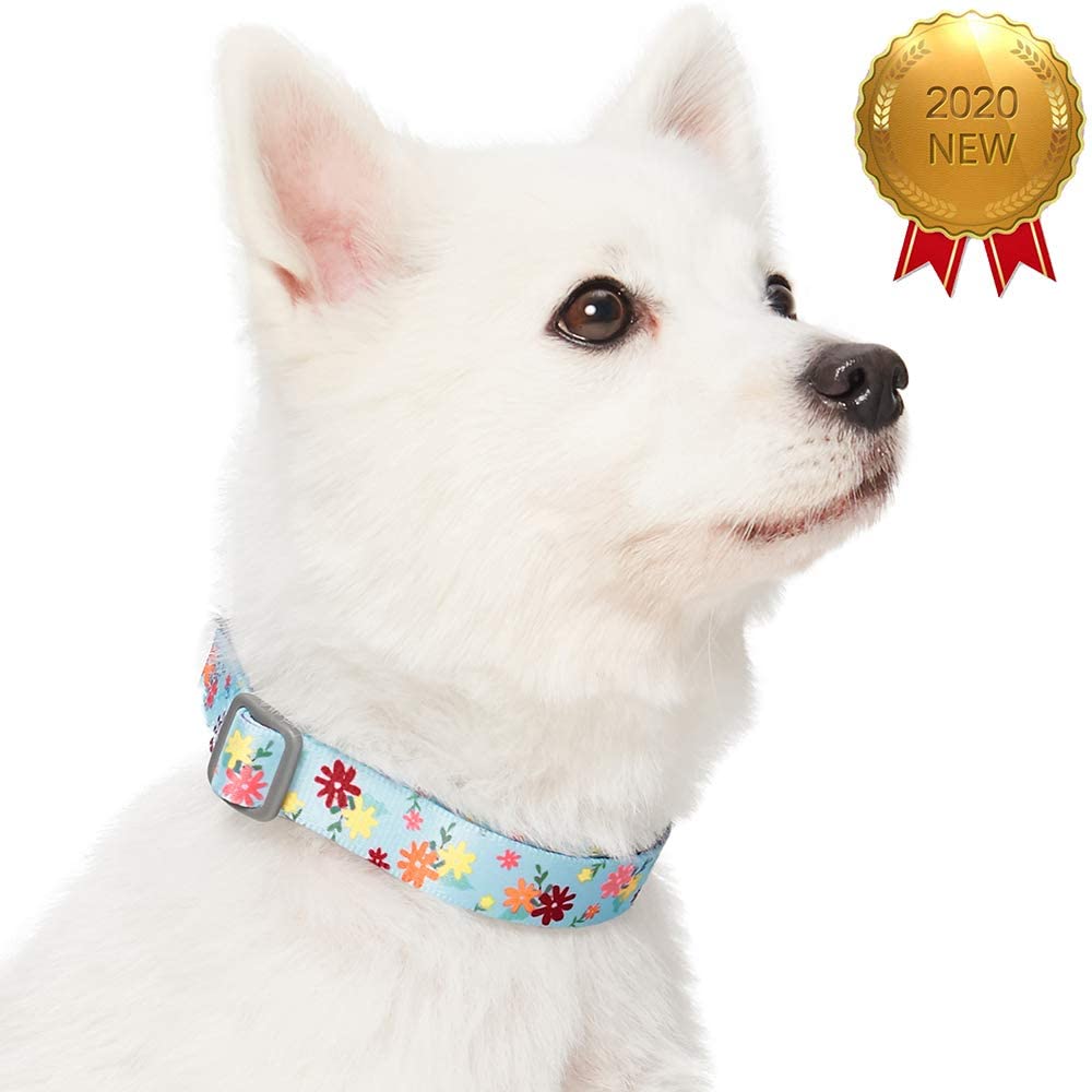  Umi. by Amazon - Made Well - Collar para perros con estampado de flores S, cuello 30-40 cm, collares ajustables para perros (azul bebé) 