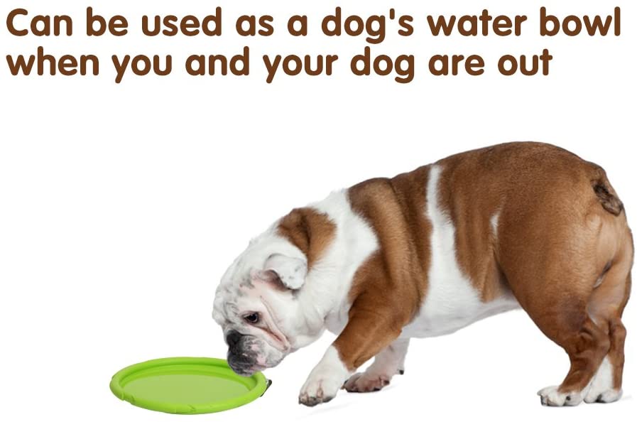 Vivifying Dog Frisbee, 2 Unidades de Discos flotantes de Goma Natural para Perros de 7 Pulgadas Tanto para Tierra como para Agua 