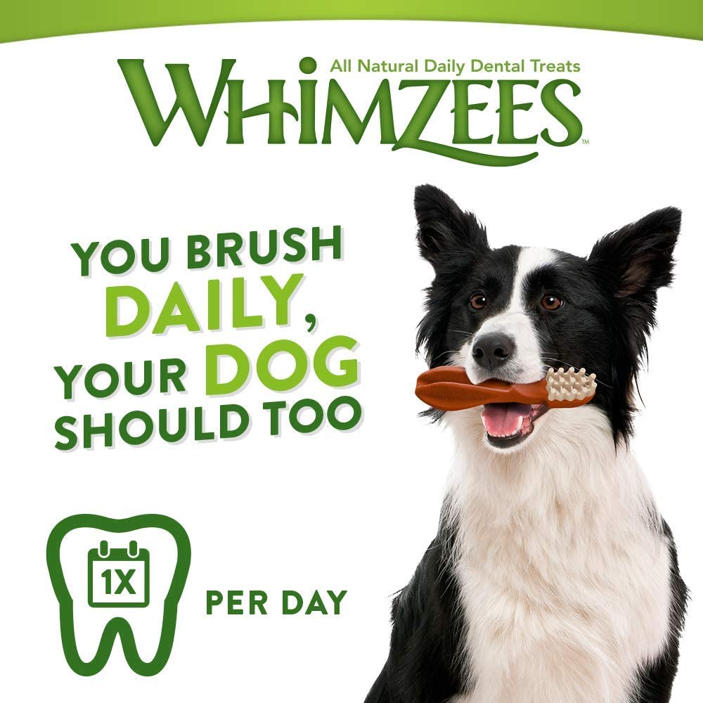  Whimzees - Paquete de 24 snacks con forma de cocodrilos para perros (Talla Única/Multicolor) 