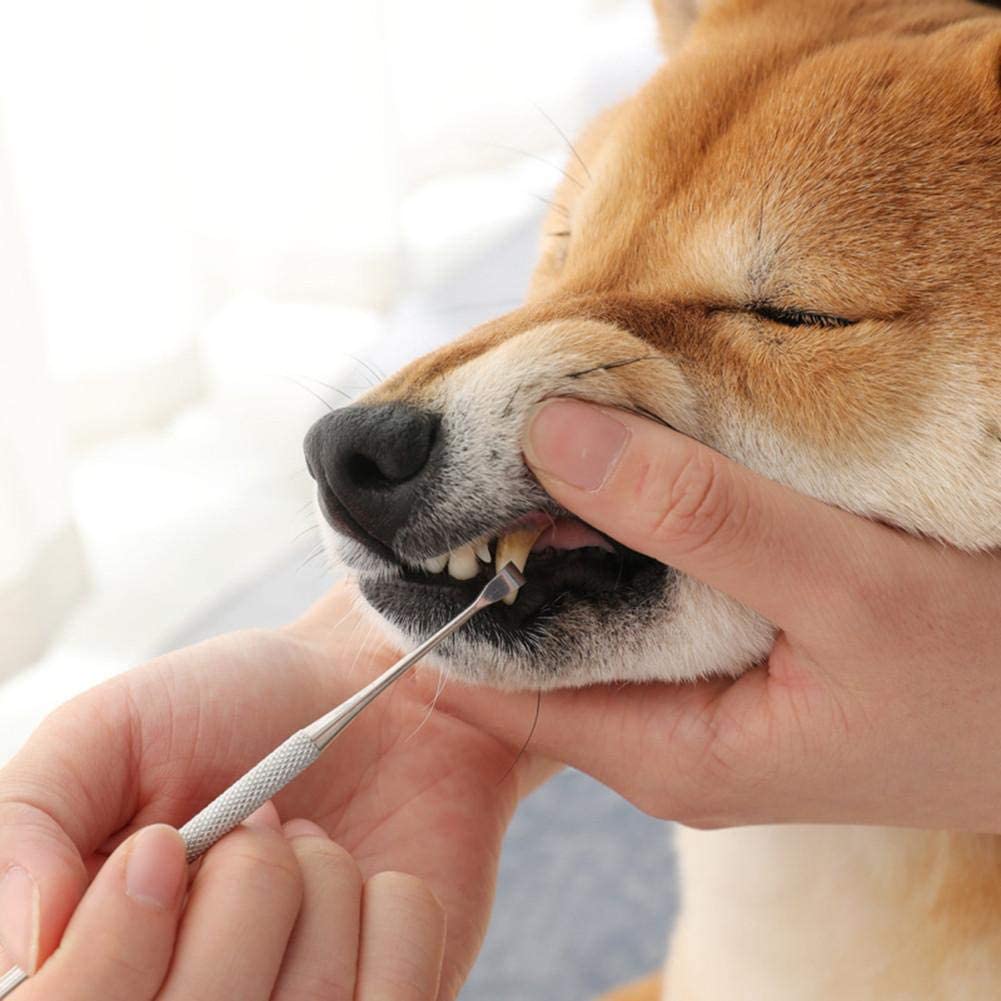  WUYANSE Perro Cepillo de Dientes de Doble Cara Mascotas Perros Gatos Tartar Remover Piedras Dentales Rascador Dientes Herramientas de Limpieza 