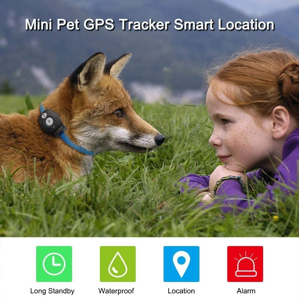  WYXIN Localizador Impermeable del Perseguidor De GPS del Gato del Perro Casero De La Prenda Impermeable De La Alta Calidad De La Alta Calidad SMS Y Registro En Tiempo Real De La Ubicación De GPRS 