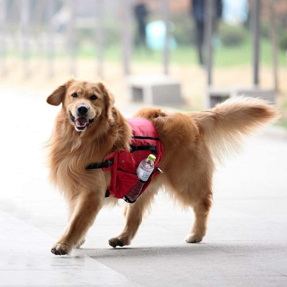  Yangyme - Sillín para Mascotas, Ajustable, Ligero, cómodo, Transpirable, Accesorio para Perro, para Entrenamiento, Viajes, Compras, Camping, al Aire Libre 